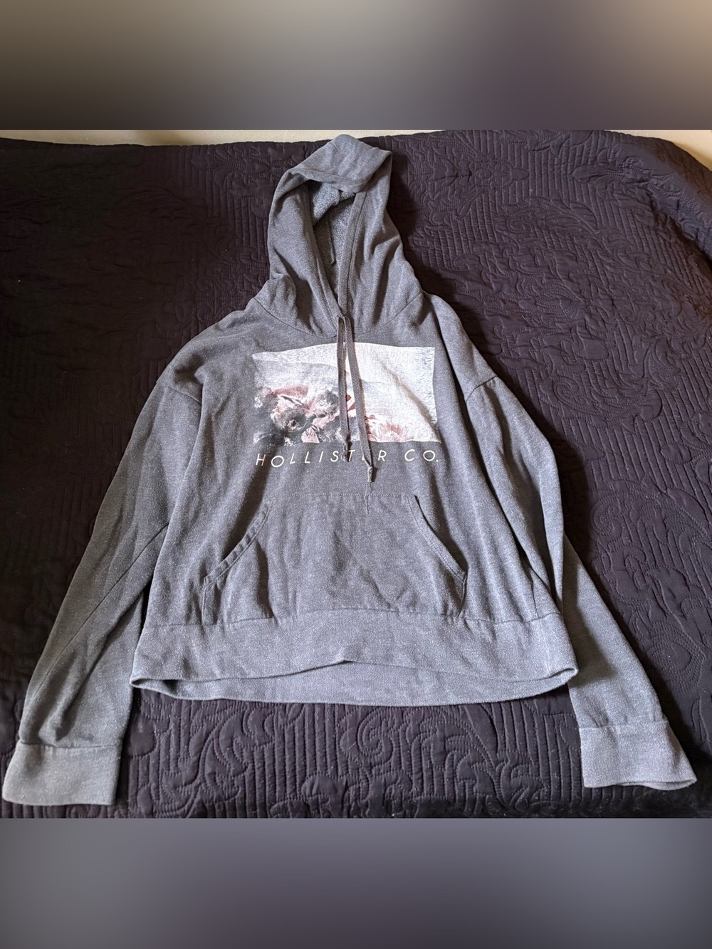 Hollister Gray Graphic Hoodie Size Medium